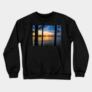 Between the Trees Crewneck Sweatshirt